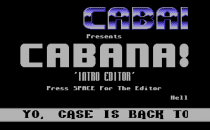 cabanaIntro03a